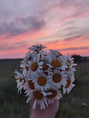 lov3 в LOOKY. . Привет и я новенькая...