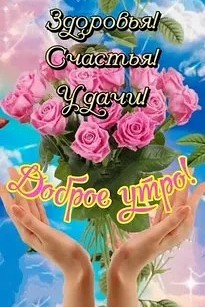 Looky_177821726465292 в LOOKY — публикация