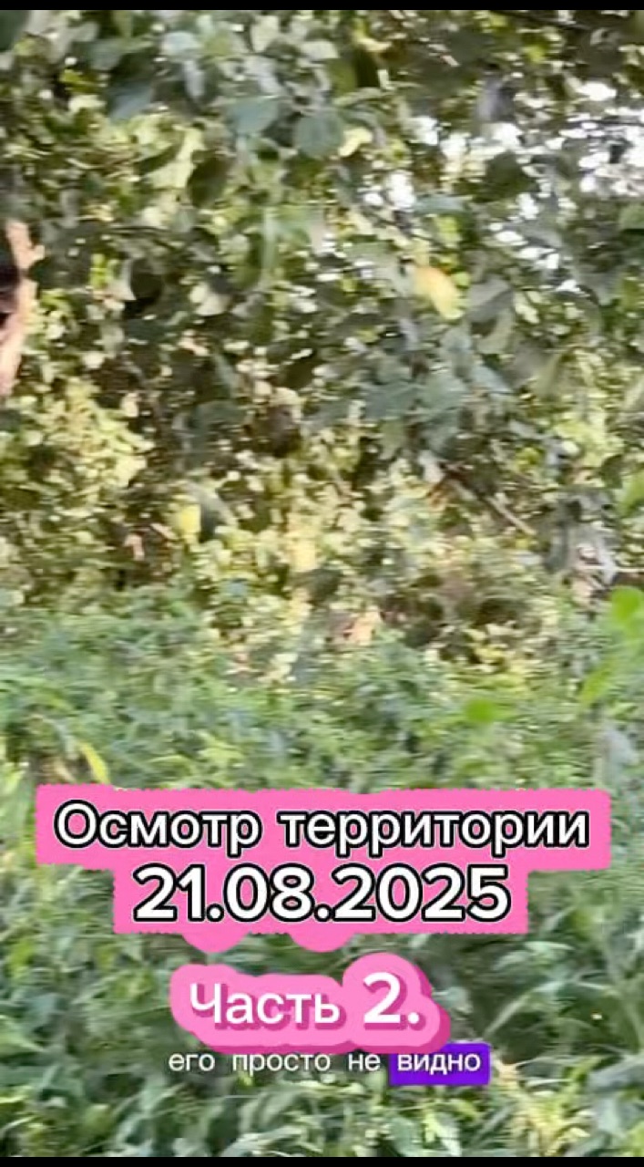 Elena в LOOKY. . Осмотр территории. 
...