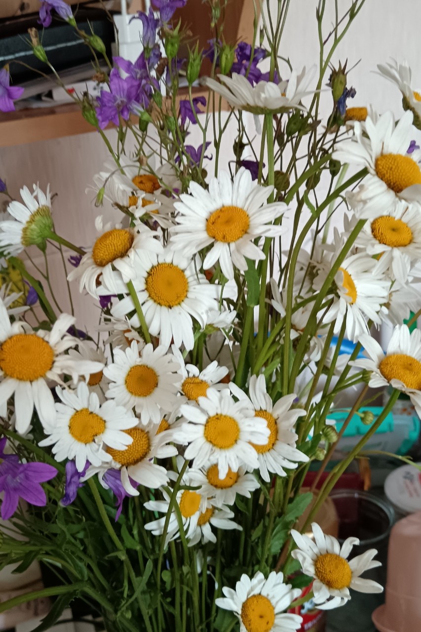 Букет полевых цветов❤️