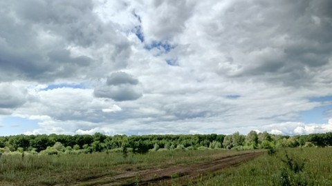 Durman в LOOKY. . Самарская лука
[#арт...
