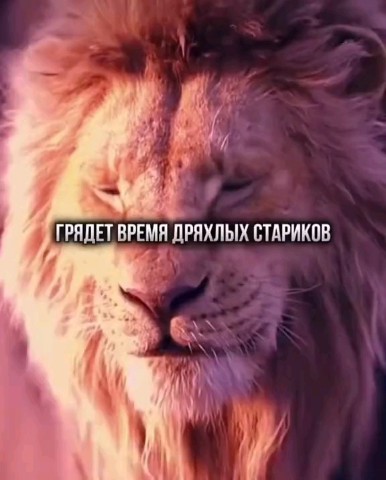 quran_sura114 в LOOKY. #цветы_немусор. #цветы_немусор