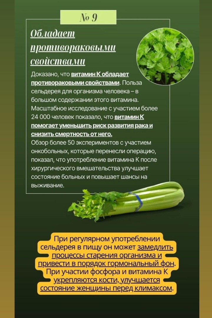 Ольга Мегеря в LOOKY — фото 6