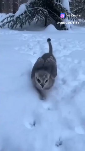 Александр   Александр в LOOKY — публикация