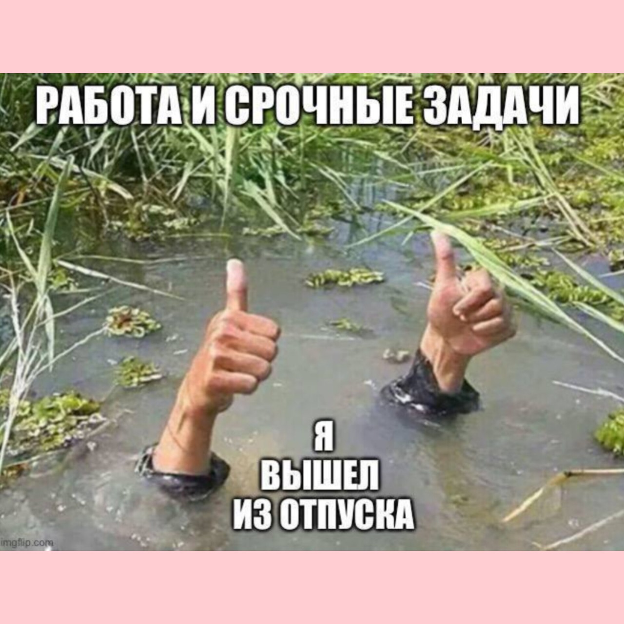 #иравместосториз #юмор #сарказм
