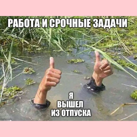 ira_shum в LOOKY. #иравместосториз,#юмор,#сарказм. #иравместосториз #юм...