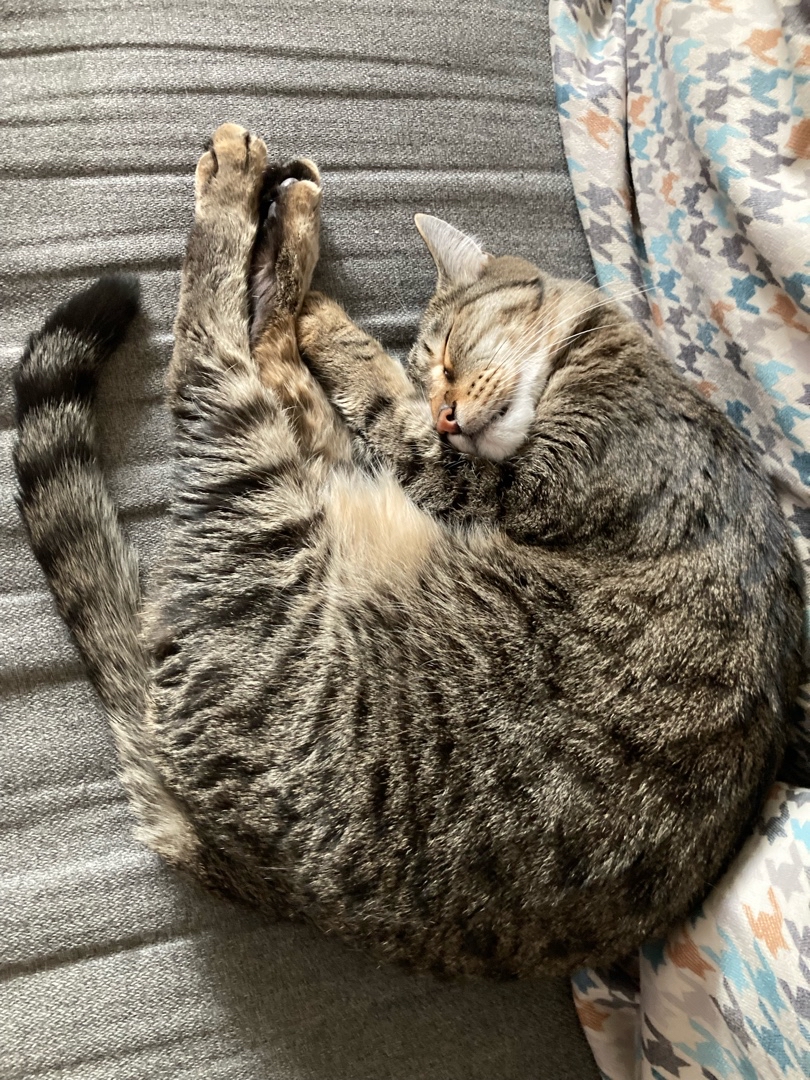maksen_maksenych в LOOKY — фото 3