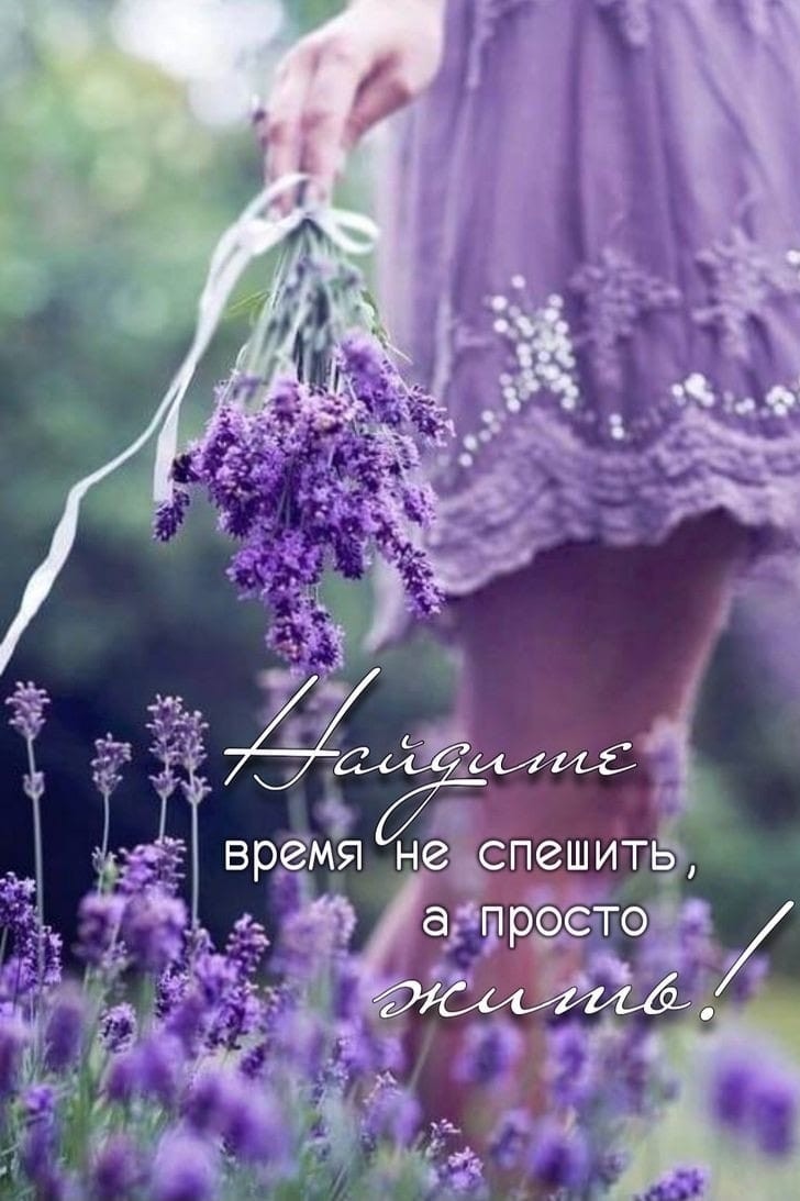 Небесный Светлячок в LOOKY — публикация
