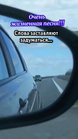 ВОЛК СЕРЫЙ в LOOKY — публикация