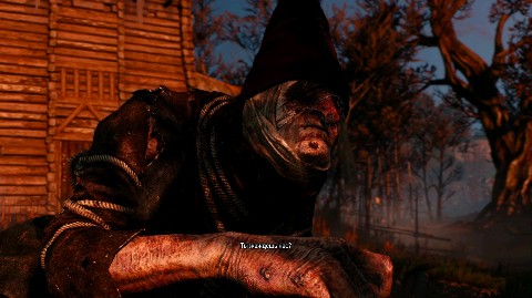 Eileen_Mor в LOOKY. . The wither 3 Ведьмы ...