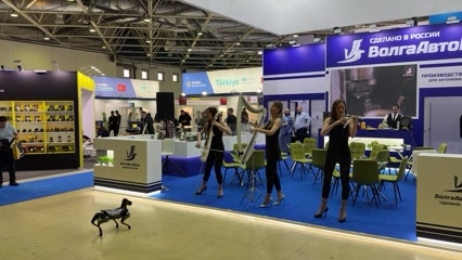 stepnevalex в LOOKY. . 