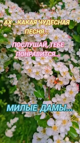 Для души