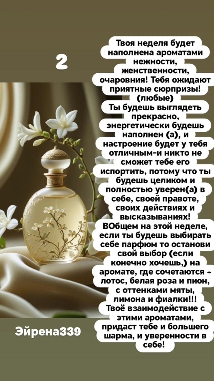 Таролог  Рена Эльф в LOOKY — фото 4