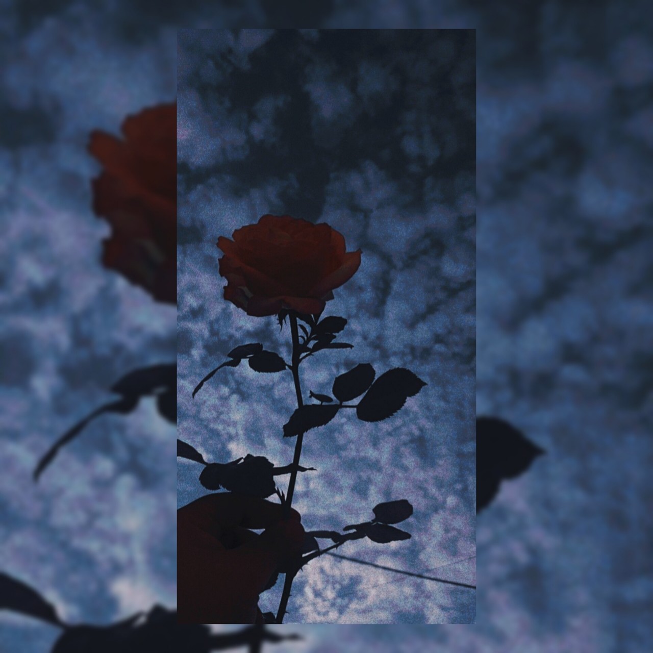 jxstshiro_ в LOOKY — Life has no meaning, but your death should..

People are rea