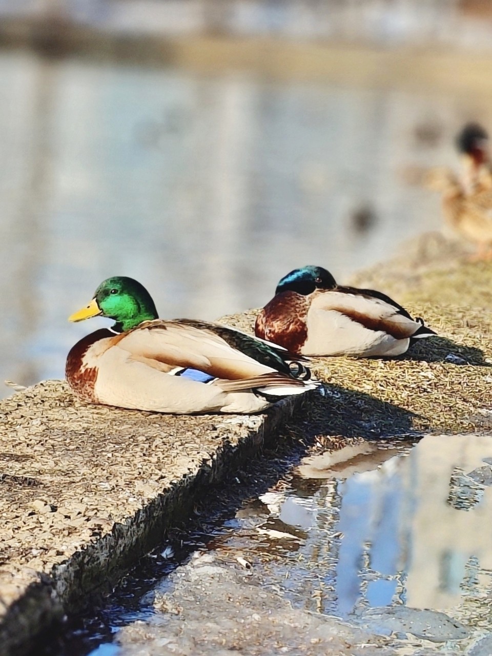Виктор в LOOKY — фото 2
