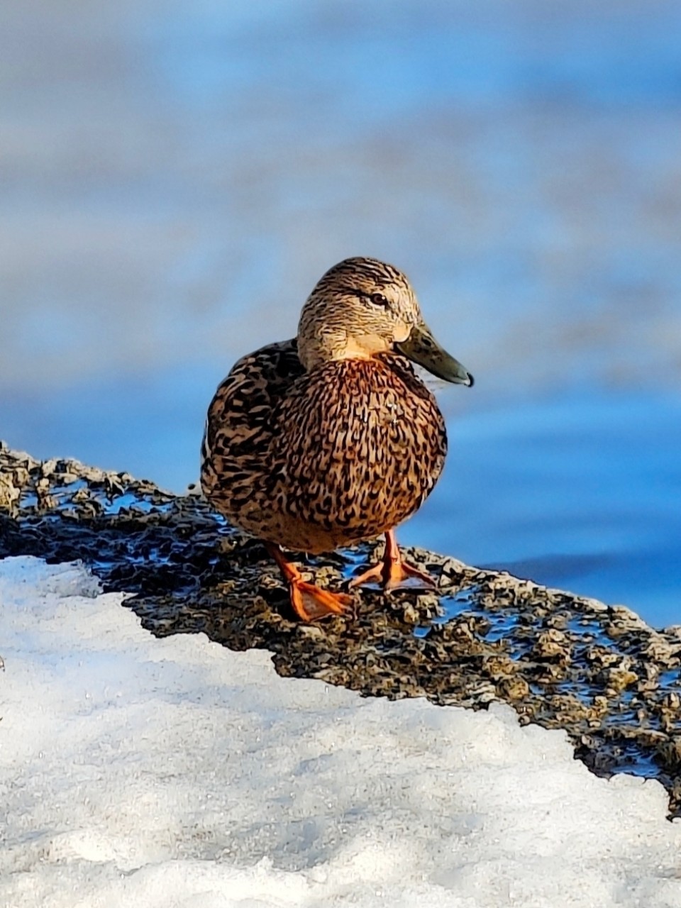 Виктор в LOOKY — фото 4
