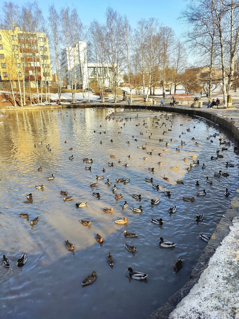 Виктор в LOOKY — фото 5