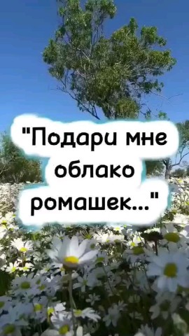 Elena_looky в LOOKY. . "Подари мне облако р...