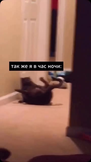 nastya_kryuchkovaa в LOOKY. . Сильная независимая ...