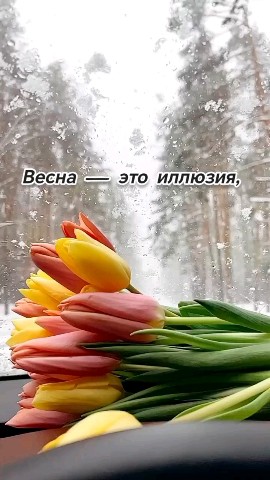Nafan_ya в LOOKY. #весна,#юмор,#мысливслух,#иронично,#сарказм,#ПлизВреки. #весна #юмор #мыслив...