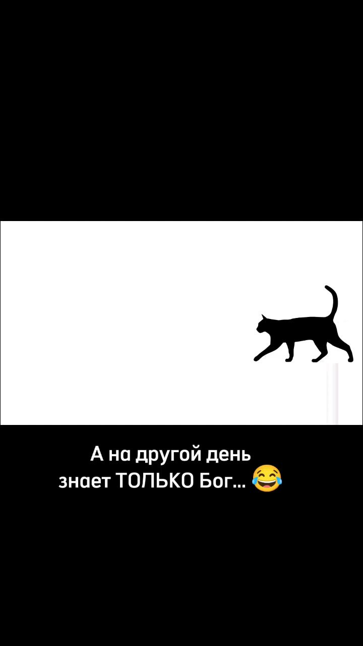 Elena_kaft в LOOKY. . 