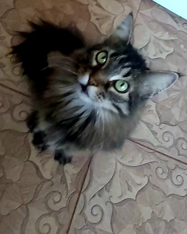 abatosova в LOOKY. . 