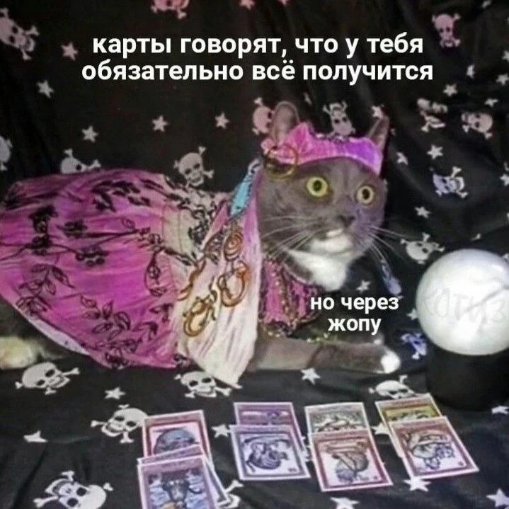 Esotericmagic13 в LOOKY — #Юмор
#таро#приворот#магия#гадание#москва#эзотерика
#Россия
