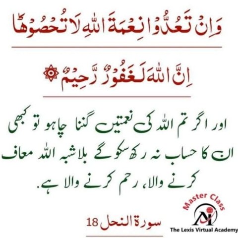 Sanaullah Qureshi в LOOKY. . 