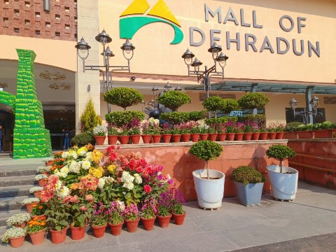 THE ORIGINAL в LOOKY. . Dehradun🥰
[#india ]...