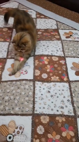 Жаныл in LOOKY. . Знакомьтесь — мои на...