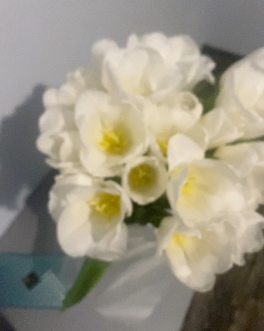 anast.gost30030724yandex.ru
