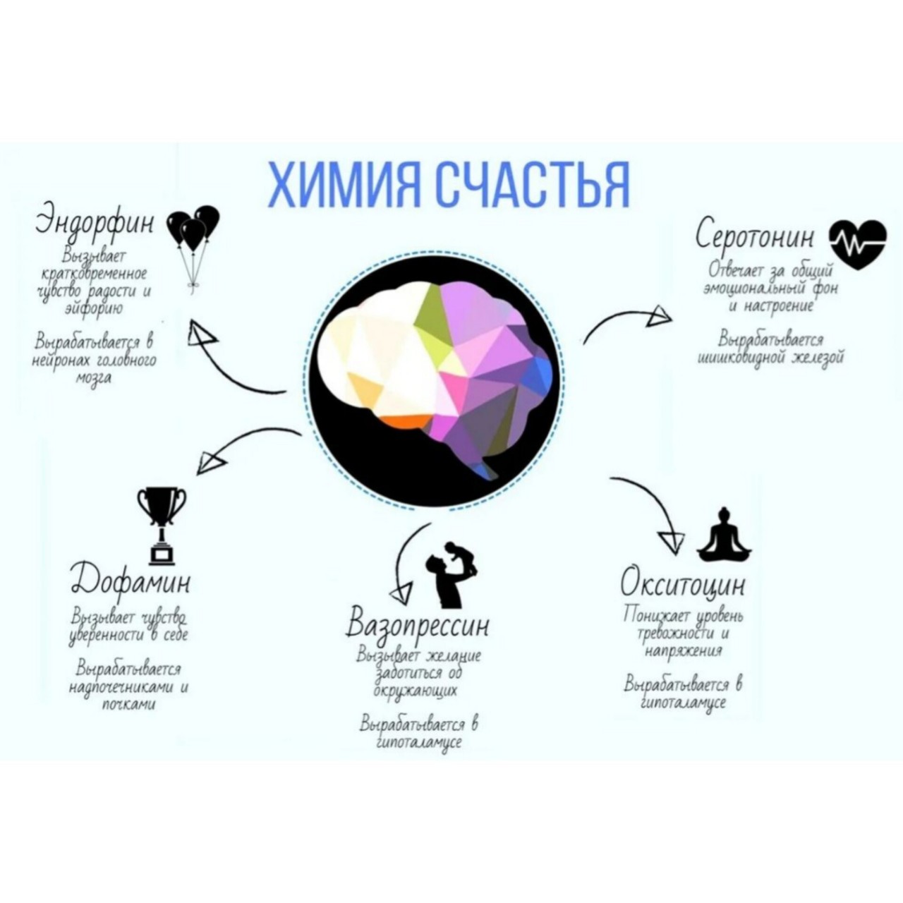 ГОРМОНАЛЬНОЕ РАСПИСАНИЕ
⠀
Как использовать природные ритмы, чтобы сохранять здоровье и молодость.

Сохраняйте, это очень полезно💯
⠀
🕰 При подъеме до 6:00 утра вырабатывается СЕРОТОНИН — гормон счастья.
⠀
🕰 6:00 — поднимается уровень КОРТИЗОЛА — гормона, который готовит наш организм к активному бодрствованию!
Сейчас максимально включена логика. Самое время записать планы на день.
⠀
Выпивая 500 мл воды утром и делая зарядку, вымываются гормоны стресса.
⠀
🕰 7:00 — прекращает вырабатываться МЕЛАТОНИН, освобождая место половым гормонам. Больше спать смысла нет, ценность дальнейшего сна = 0, а значит это пустая трата жизни.
⠀
🕰 8:00 — на арене половые гормоны. Они же стероиды — гормоны, формирующие наш мышечный каркас. Самое время для зарядки, гимнастики, спортзала и размножения!
⠀
🕰 10:00 – 14:00 пик ДГЭА — нейрогормона, отвечающего за память, внимание и запоминание. Лучшее время для умственной деятельности.
⠀
🕰 14:00 – 16:00 — почувствовав резкую сонливость в это время, не откажите себе в удовольствие поспать 20 минут! Это пик ГОРМОНА РОСТА — гормона красоты и вечной молодости. И, желательно, после этого сна разминка, т.к. гормон роста отвечает за количество мышечной ткани.
⠀
🕰 С 17:00 начинает снижаться КОРТИЗОЛ. Принятие важных решений стоит отменить. Спорт противопоказан, т.к. питание мышц будет очень затруднительным.
⠀
🕰 21:00 — начинает вырабатываться МЕЛАТОНИН. Снижается температура тела, нам хочется тепла и заботы от близких. Самое время для семейных обнимашек!
⠀
🕰 22:00 — гипофиз выделяет опиоидные гормоны, обладающие наркотическим действием. Это ЭНДОРФИНЫ. Если заснете в это время, сон будет сопровождаться наиболее приятными ощущениями. Дневной стресс позади, организм готов к перезагрузке. Ценность сна с 22:00 до 4:00 максимальная. Отсутствие сна в это время фатально.
⠀
🕰2:00 — за работу принимается ГОРМОН РОСТА — гормон красоты и вечной молодости. Благодаря ему дети "летают во сне", а взрослые остаются молодыми, красивыми, с крепкими костями и качественной мускулатурой!

#полезно 
#гормональноерасписание
#гормоны
#безстресса