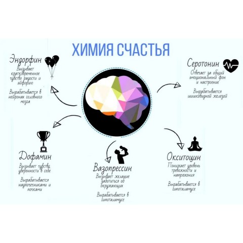 ludmilin_mir в LOOKY. #полезно,#гормональноерасписание,#гормоны,#безстресса. ГОРМОНАЛЬНОЕ РАСПИСА...