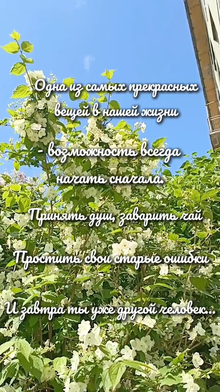 Ольга в LOOKY. #цитаты. #цитаты [#цитата ](ц...