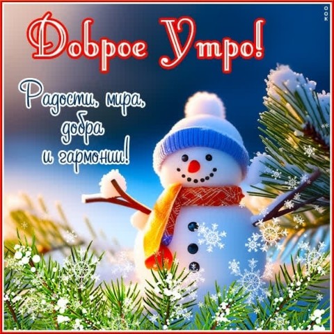 Николай в LOOKY. . Утро добрым не бывае...