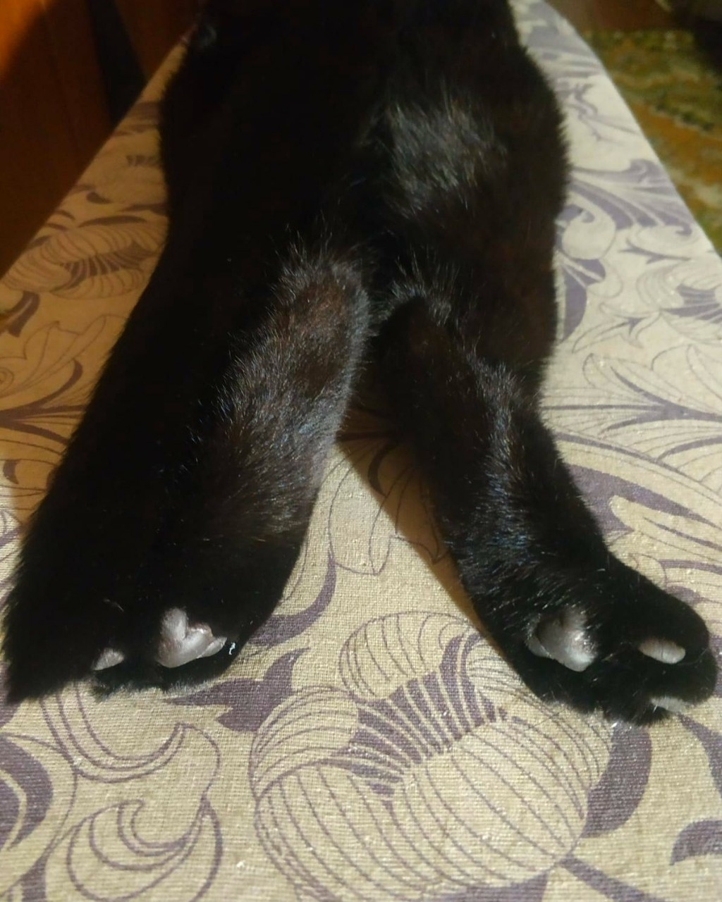 С добрым утром 
Потягушки
#котики
#клякса