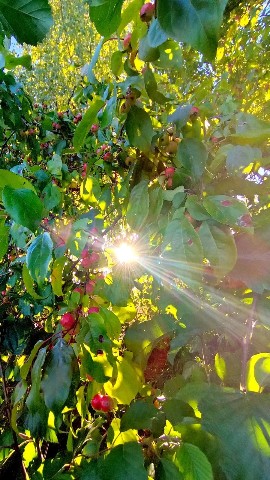 Looky_1688896735764 в LOOKY. . Прекрасное рядом☀

[...