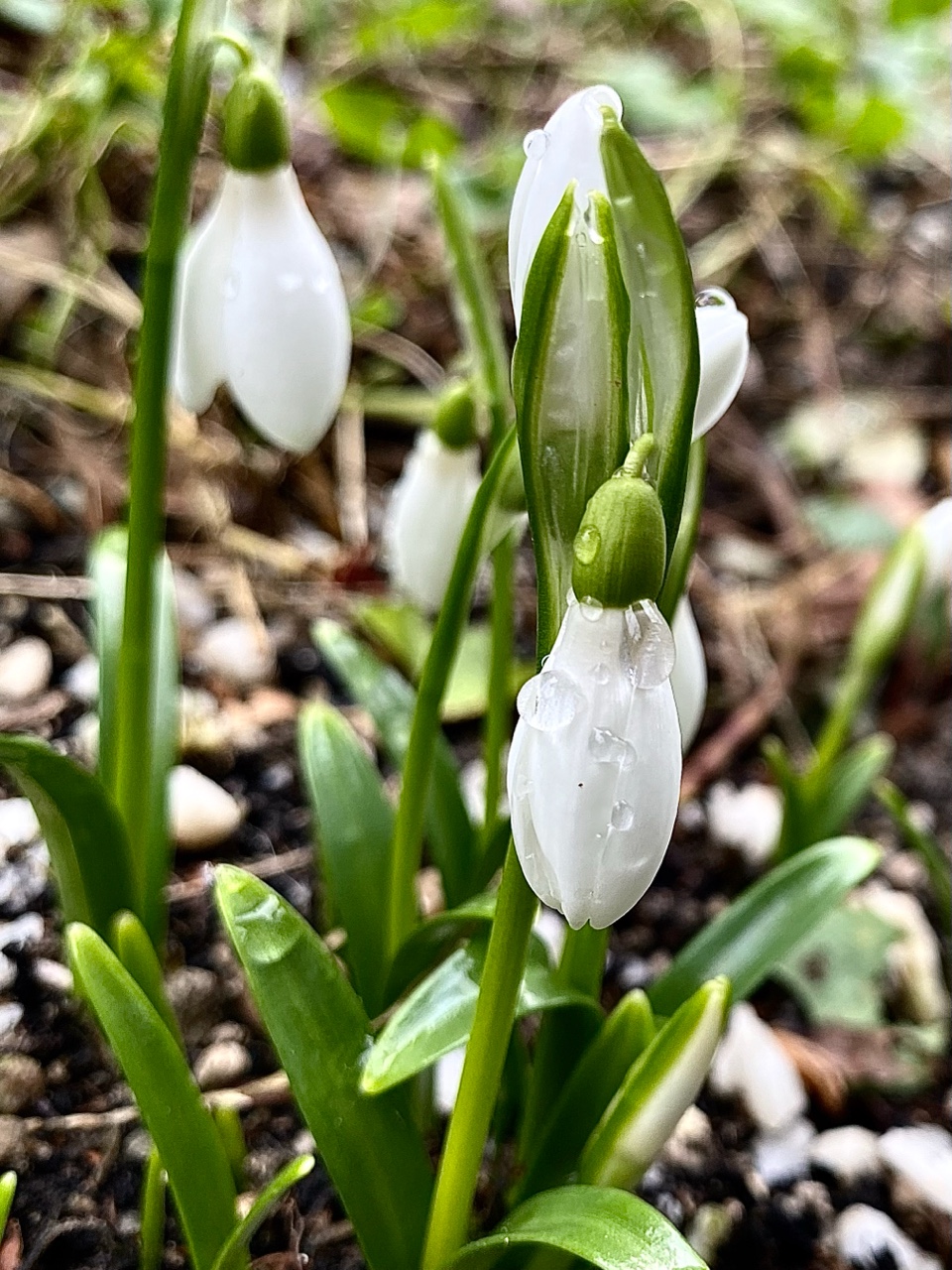 nina_melekhova в LOOKY. #золотороссии,#геленджик,#горы,#листва,#новыйгод2026,#looky,#looky_you,#looky_топ,#зима,#looky_блогер,#looky_рекомендации
#looky_official,#looky_top,#looky_пост
#nina_melekhova,#nina_neiro,#февраль,#море,#небо,#закат. Всем добрейшего дня ...