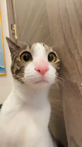 Sekret_Natali в LOOKY. . 21 марта 2026 г. Я с...