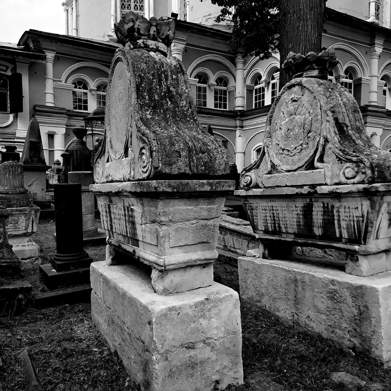 Tafofil в LOOKY — фото 2