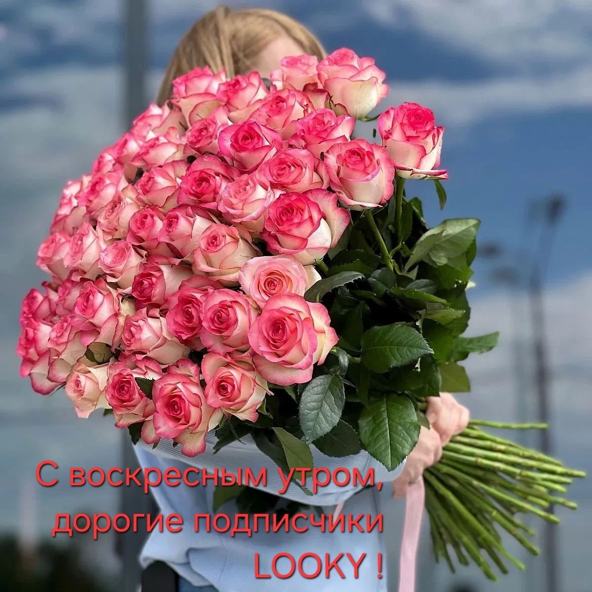 ДедМед в LOOKY — публикация