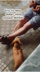 a_lili4ka в LOOKY. . Клубнику поели, мали...