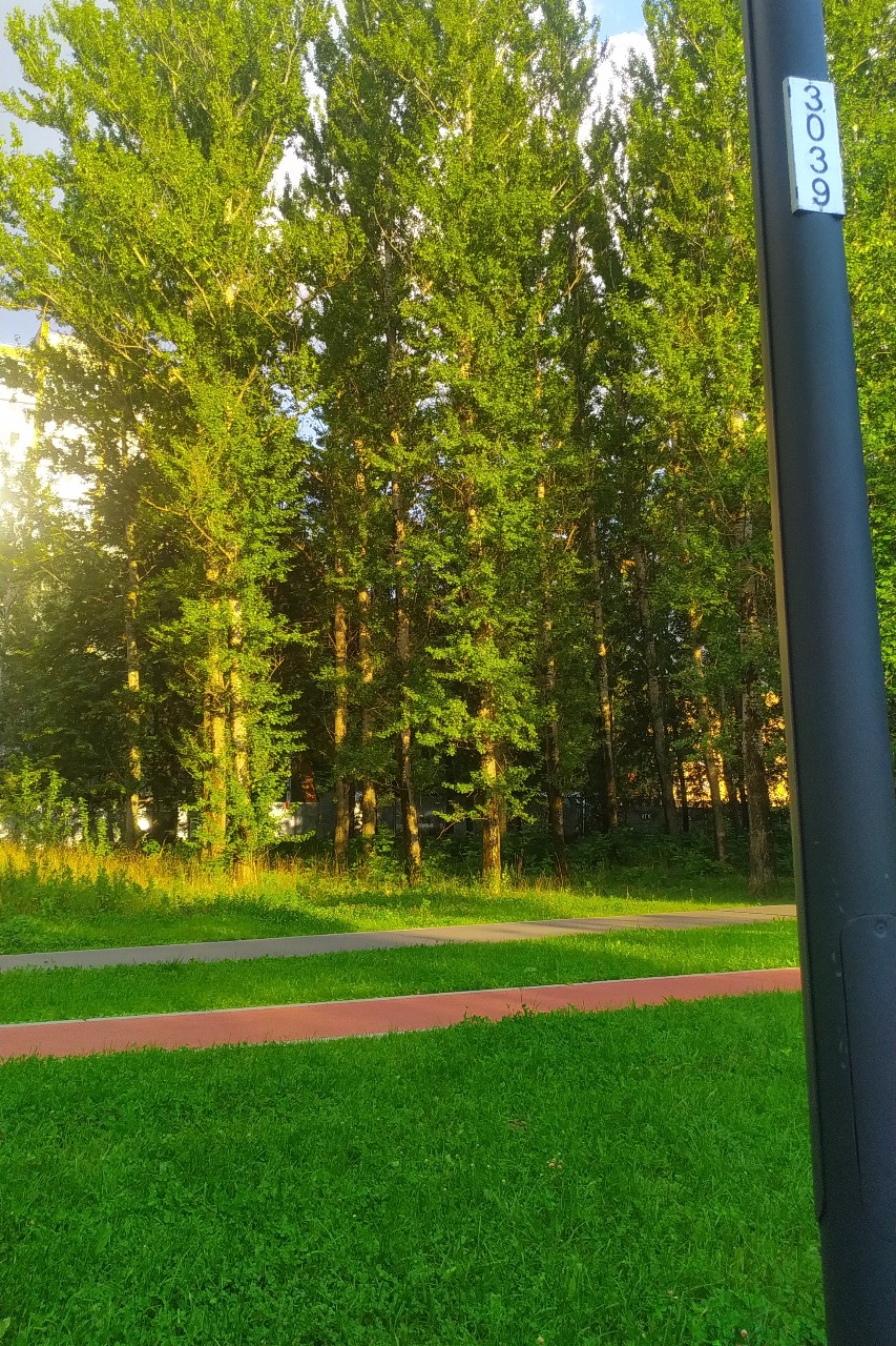 Olguita в LOOKY — публикация
