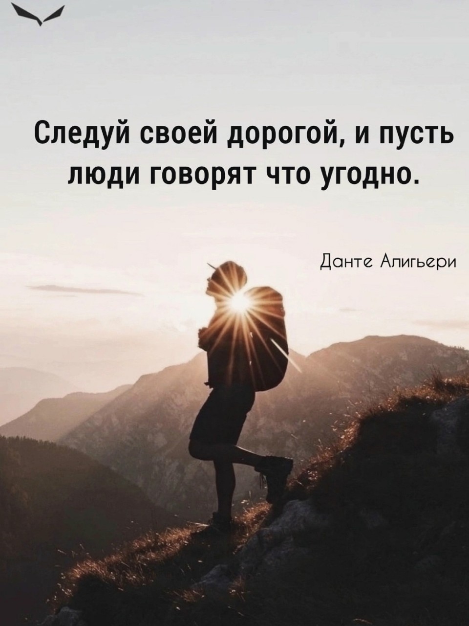 Полярный Зайчик в LOOKY — публикация