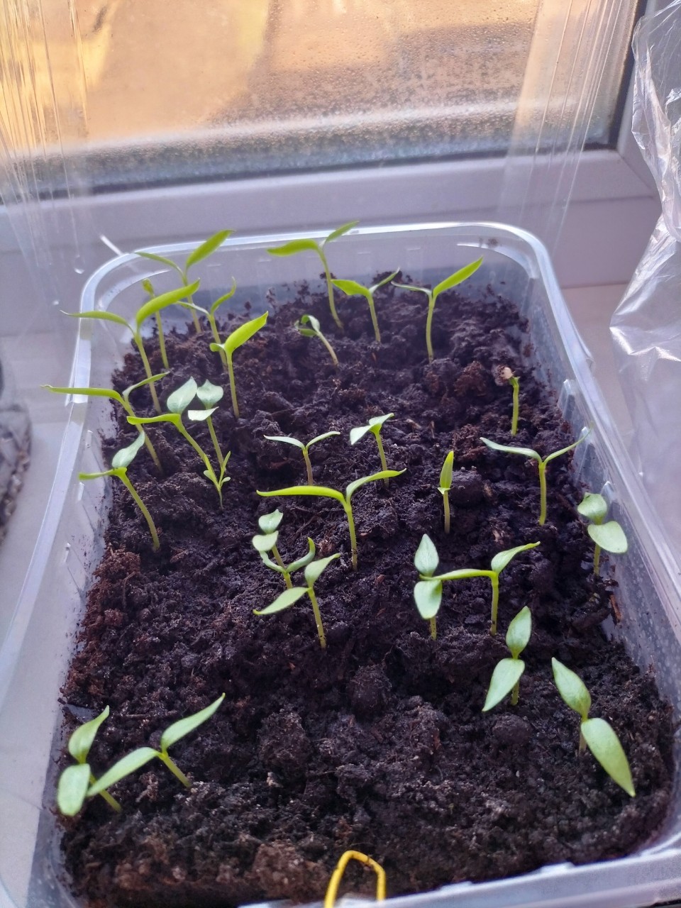 marina_alexandrovna_32.ru в LOOKY — фото 2