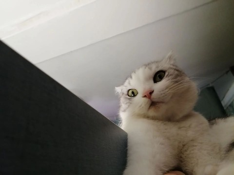 BezAptek_mem в LOOKY. . Фсем привет дарахгие...