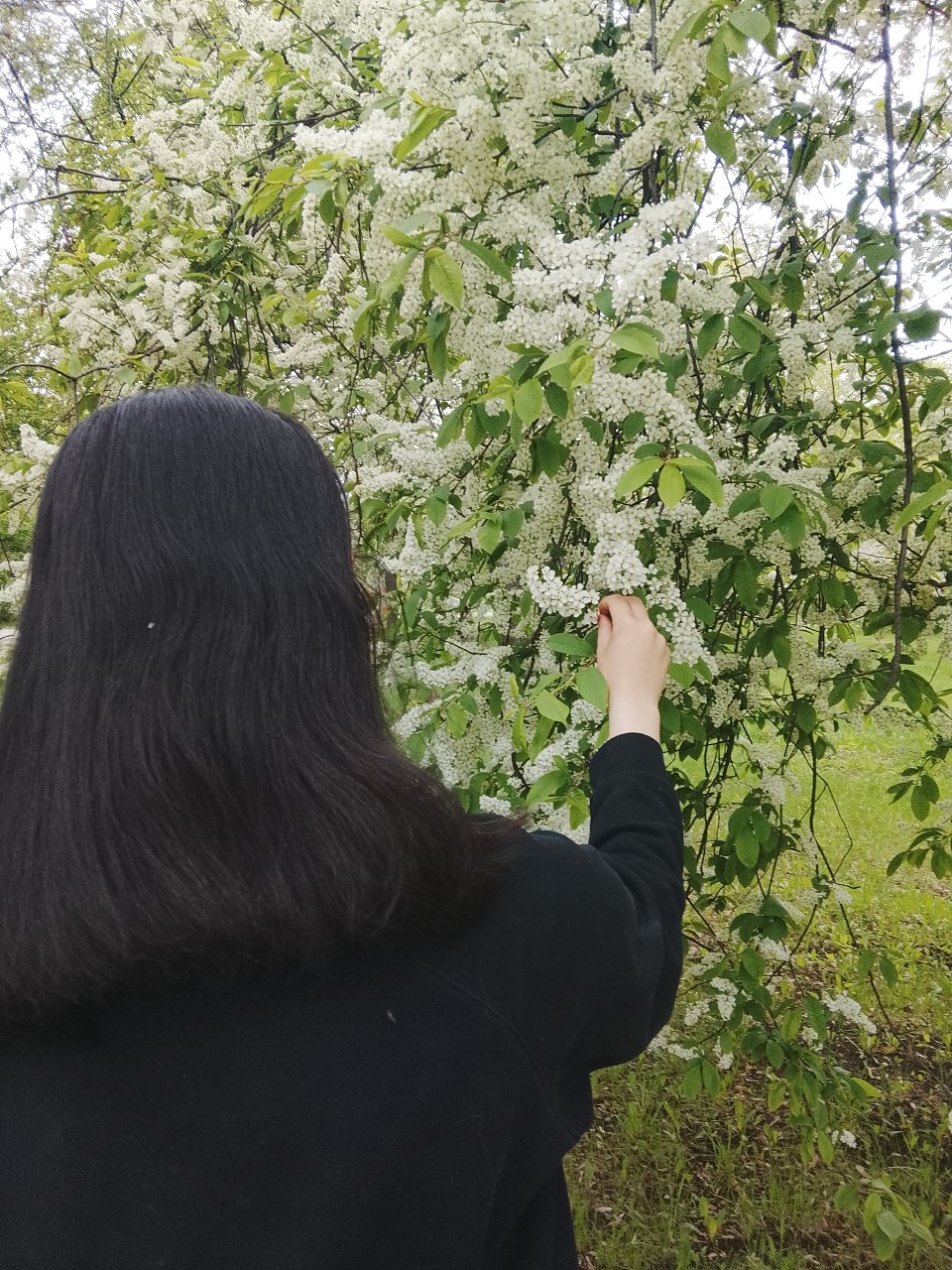  в LOOKY — 🌷💐