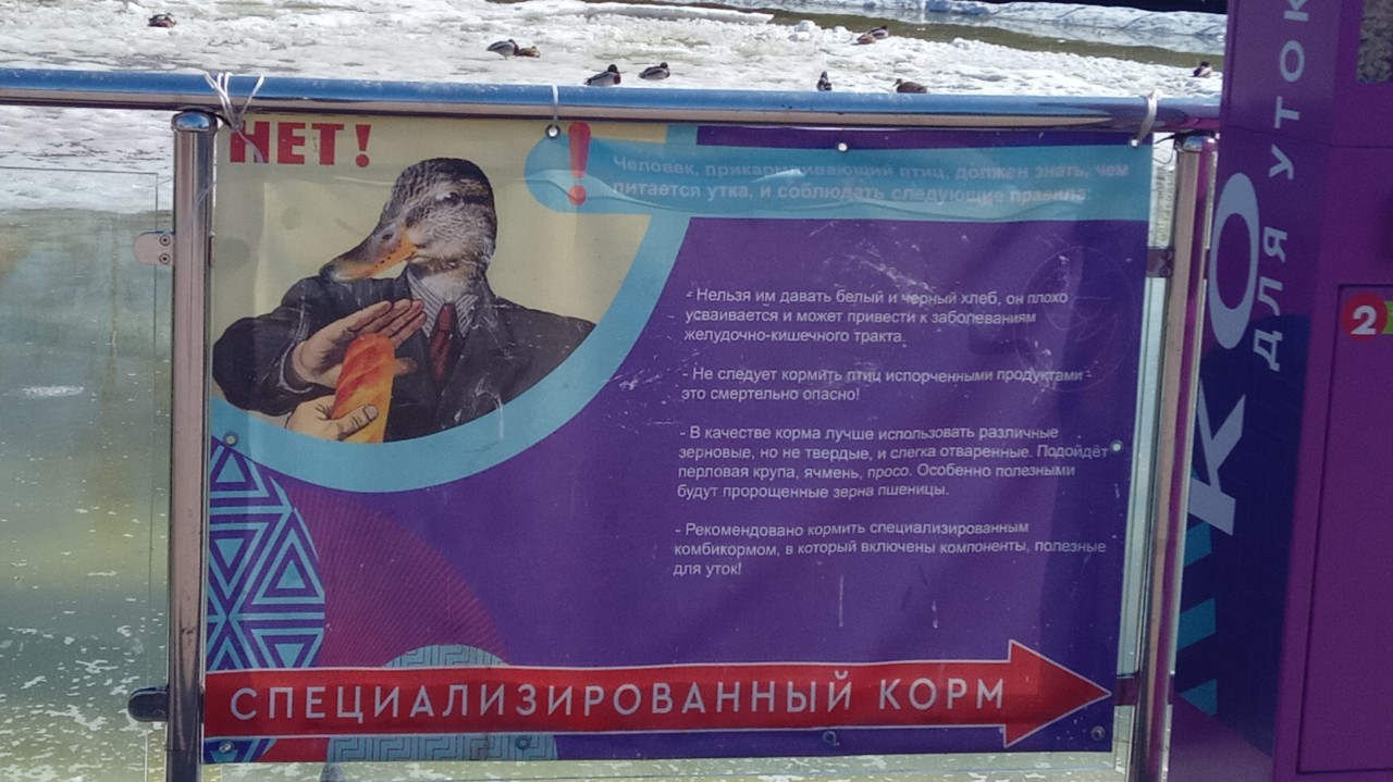 Предупреждение об кормлении уток в Уфе , парк Первомайский 🦆