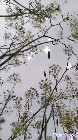 baryshniak in LOOKY. . Молись, даёт молитва...