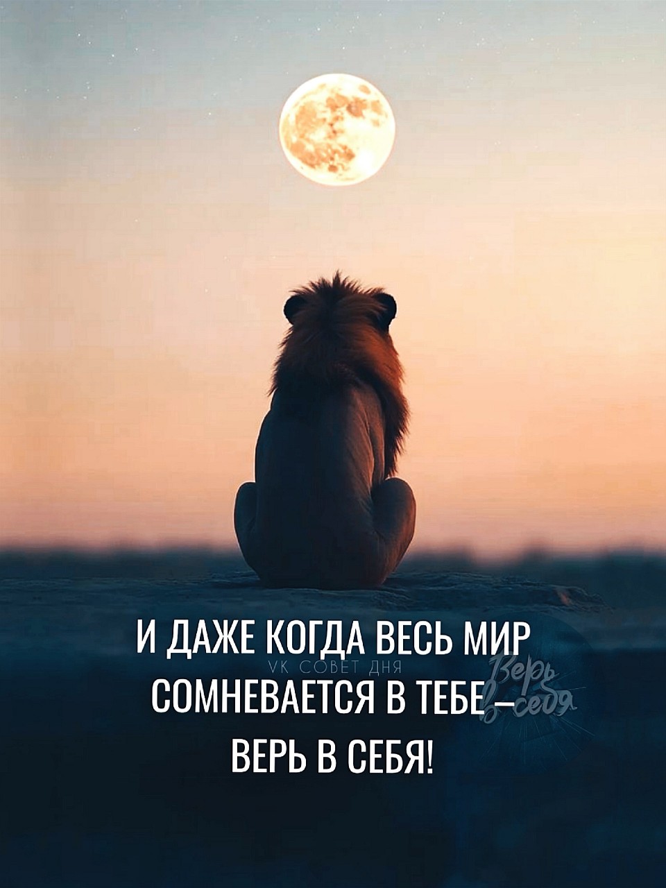Ellen в LOOKY — публикация